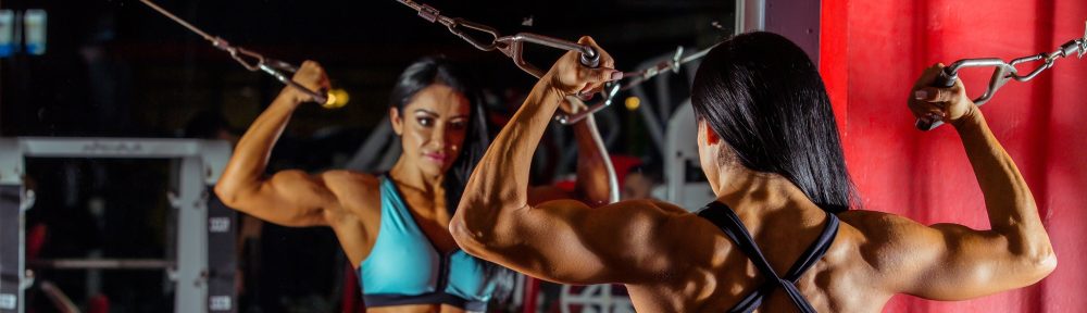 A Complete Guide To Bodybuilding by Shannon Garcia